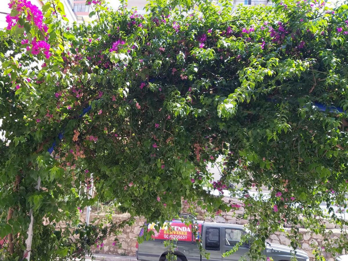 Iraa'S Apartment ซารานเดอ ภายนอก รูปภาพ